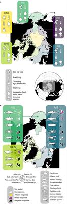 Satellite Observations Are Needed to Understand Ocean Acidification and Multi-Stressor Impacts on Fish Stocks in a Changing Arctic Ocean